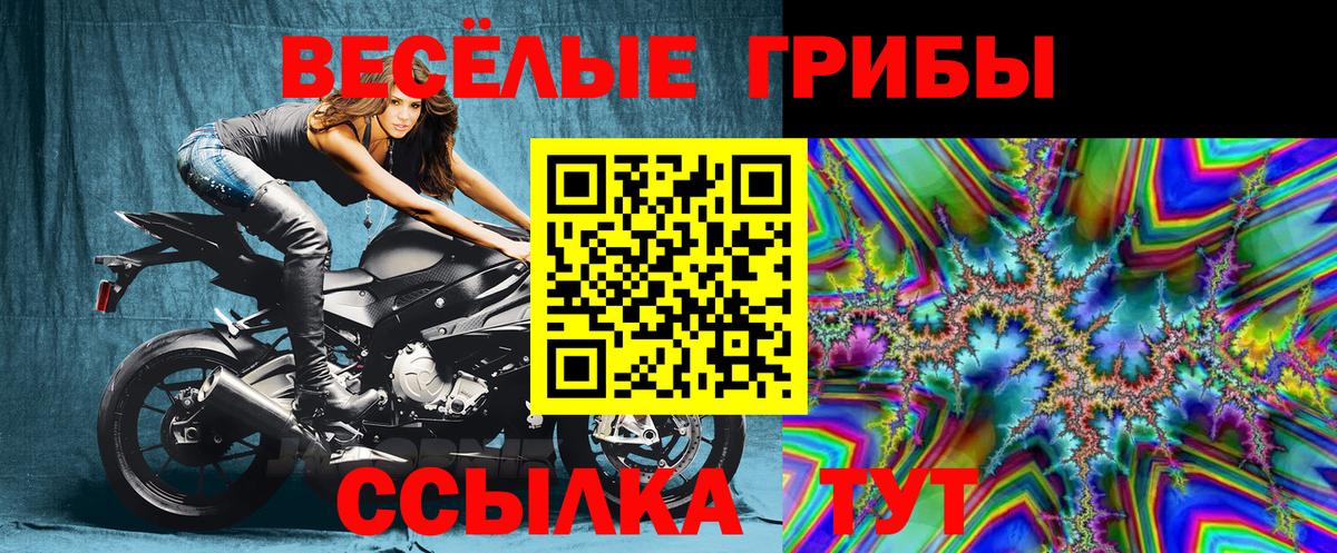 Краснознаменск  где купить   Вход с VPN  Галлюциногенные грибы Psilocybe 