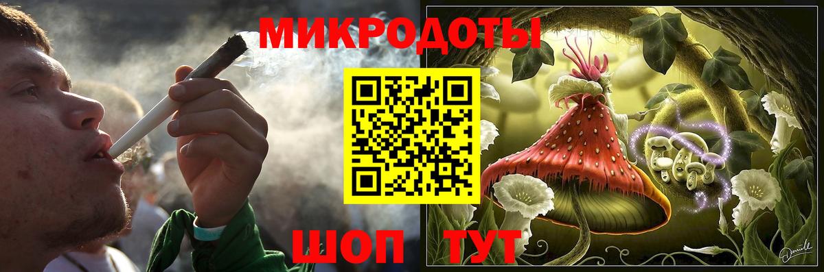 Псилоцибиновые грибы Psilocybe Краснознаменск